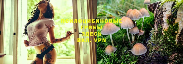 марки lsd Абинск