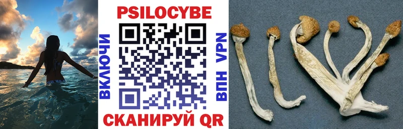 omg ССЫЛКА  Азов  Псилоцибиновые грибы мухоморы  даркнет сайт 